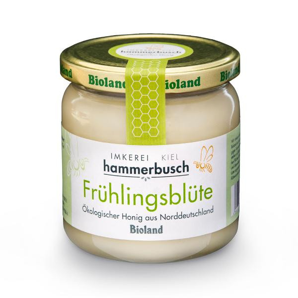 Produktfoto zu Frühlingsblüte Honig 500g