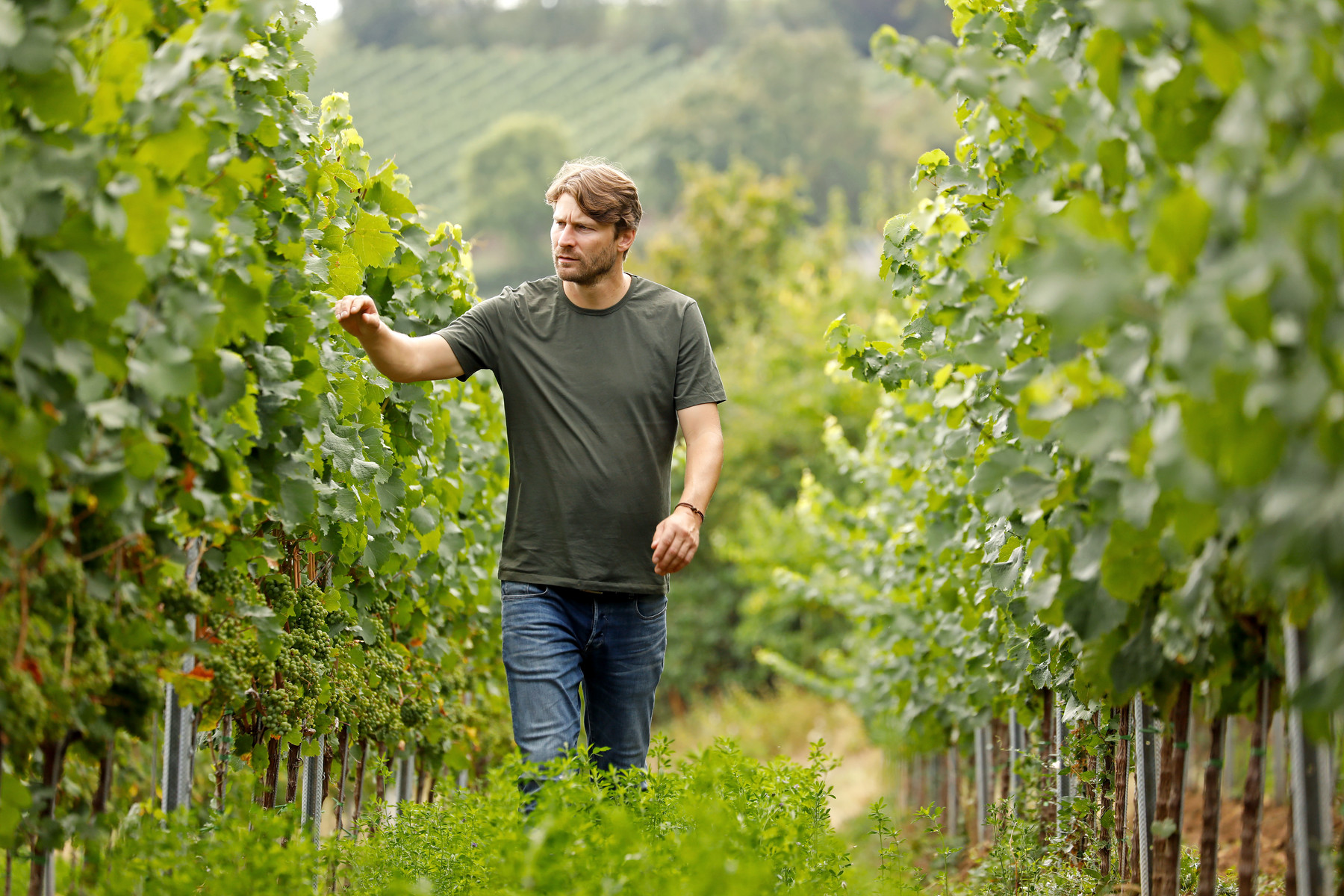 Pflüger Weingut