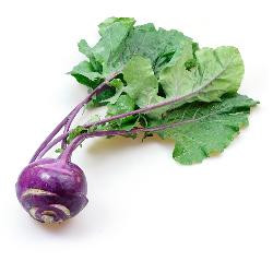 Produktfoto zu Kohlrabi violett