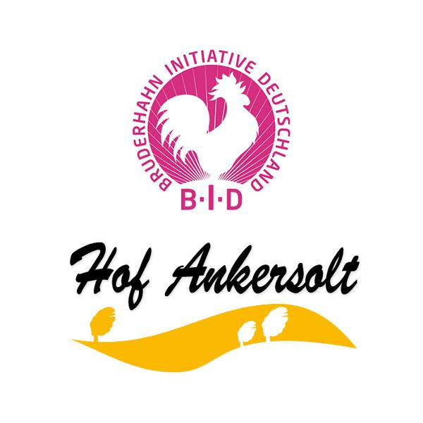 Produktfoto zu TK Bruderhahn Flügel (ca. 1 - 1,2 kg) mit MHD 13.09.2024