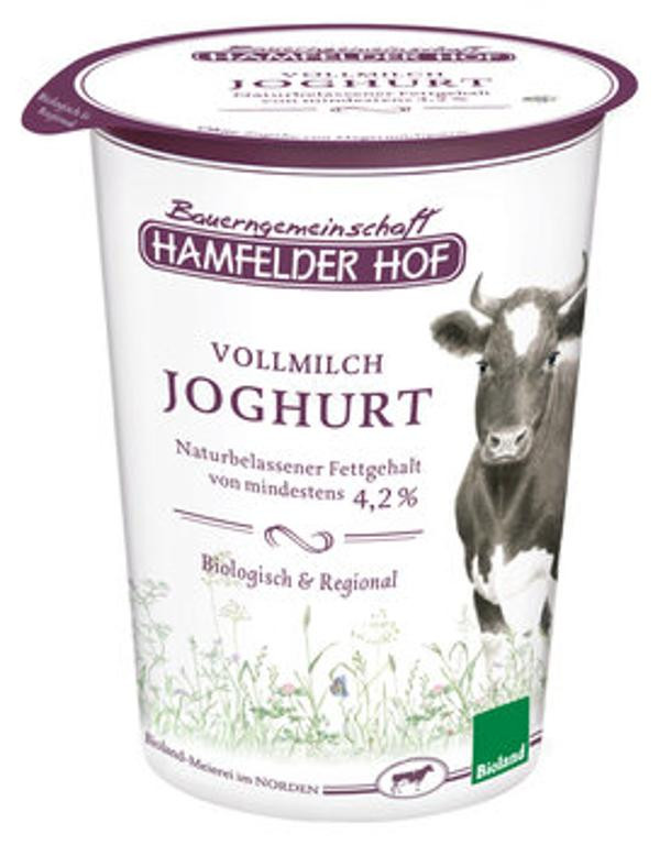 Produktfoto zu Joghurt 4,2% natur 500g Becher