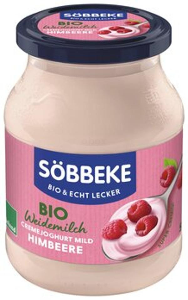 Produktfoto zu Himbeer Joghurt 500 g